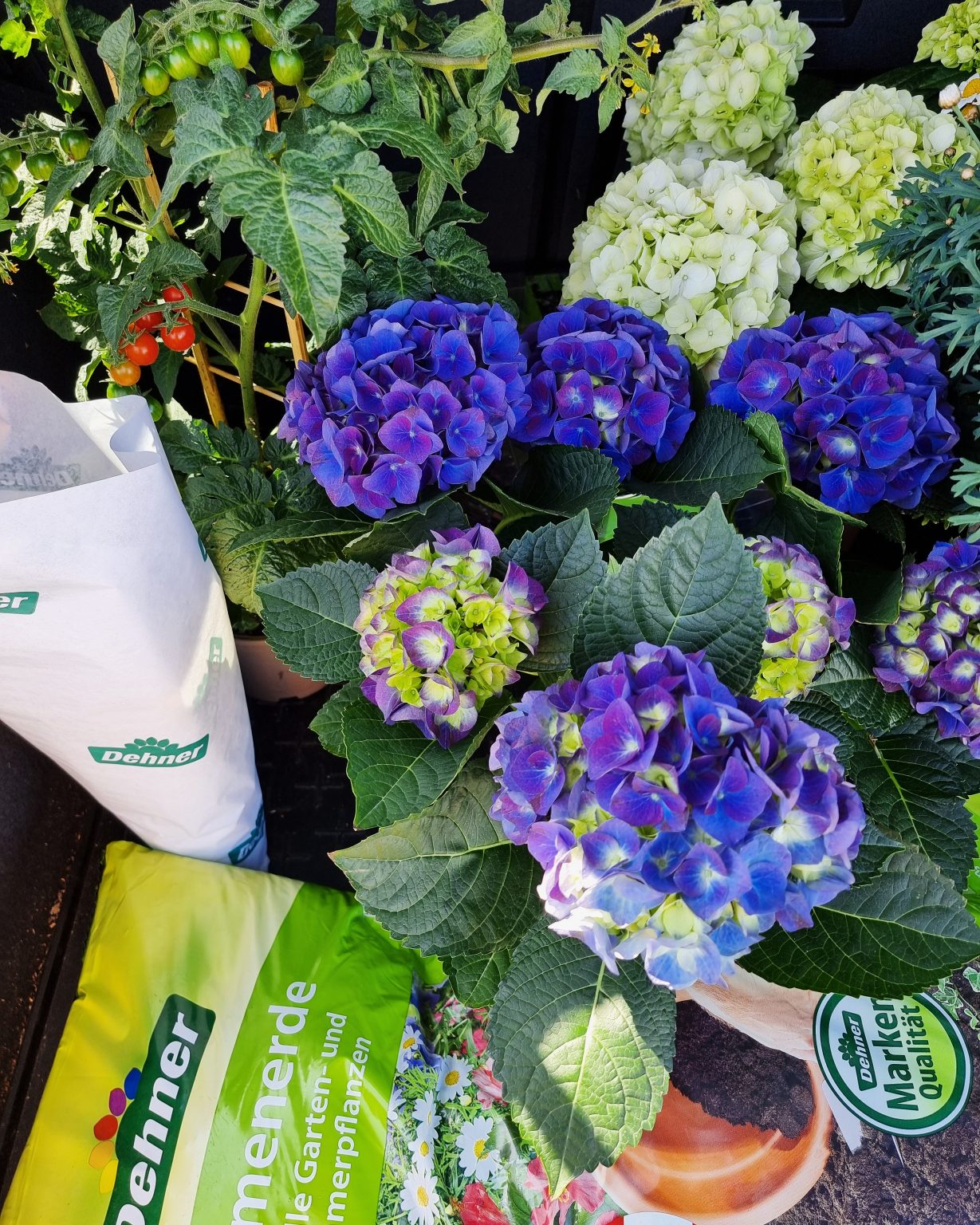 LIVING Unser Garten im Frühjahr Gartenarbeit im März und April